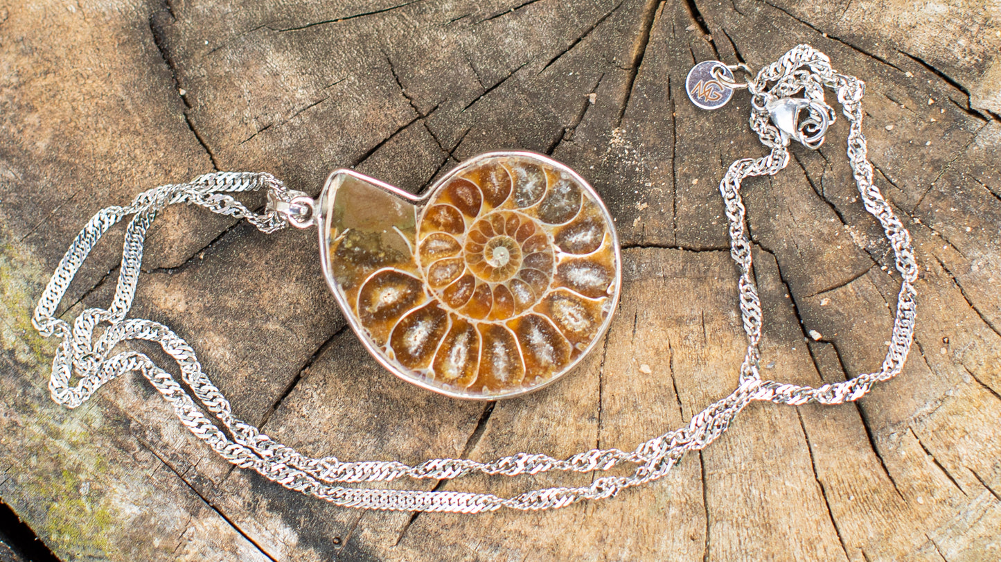 Raw Shell Necklace W/ Silver Metal Chain