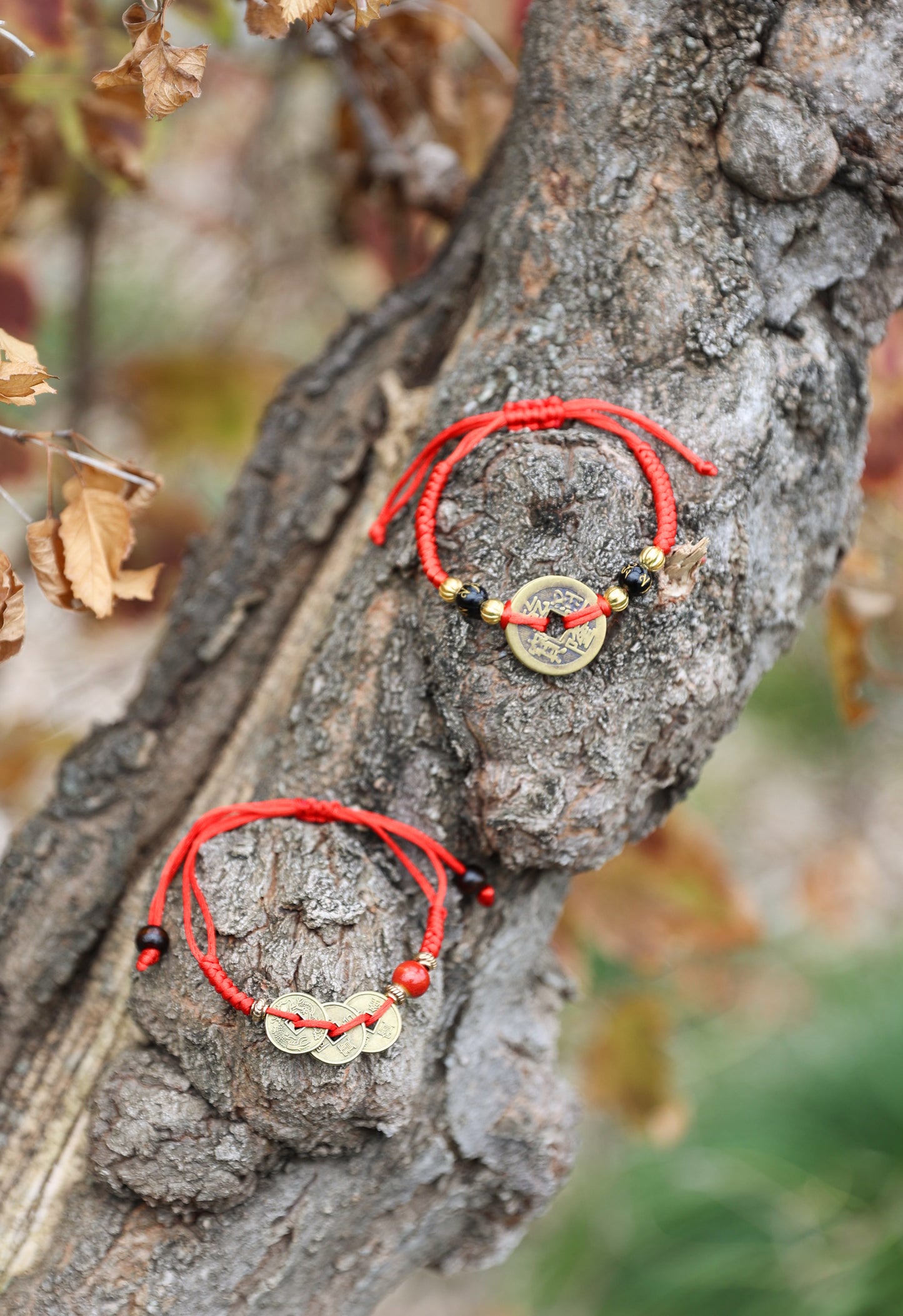 Adjustable Chinese Feng Shui Bracelet