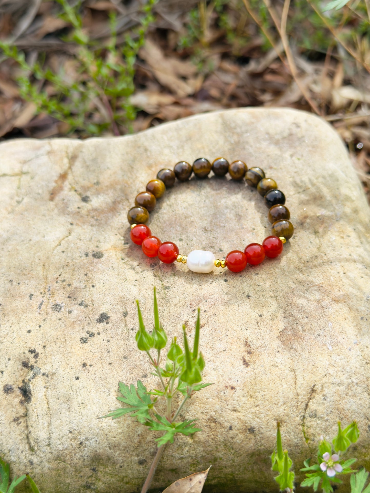 Tiger Eye - Natural Pearl - Red Agate Bracelet