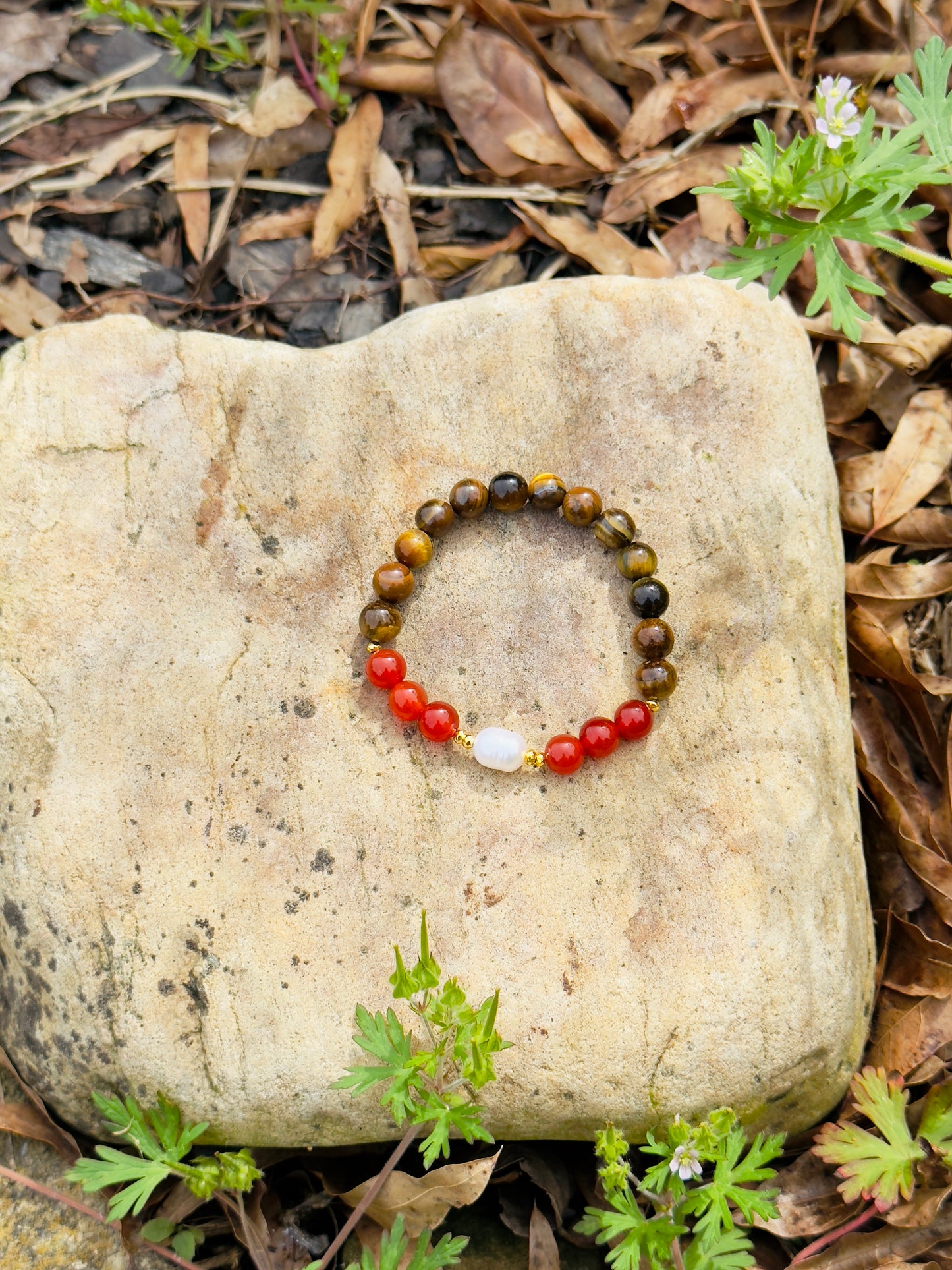 Tiger Eye - Natural Pearl - Red Agate Bracelet
