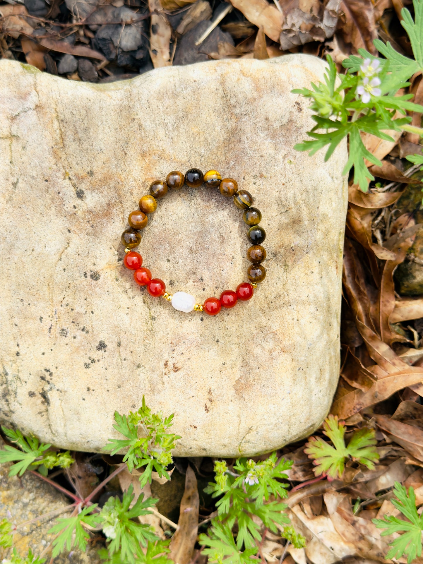 Tiger Eye - Natural Pearl - Red Agate Bracelet
