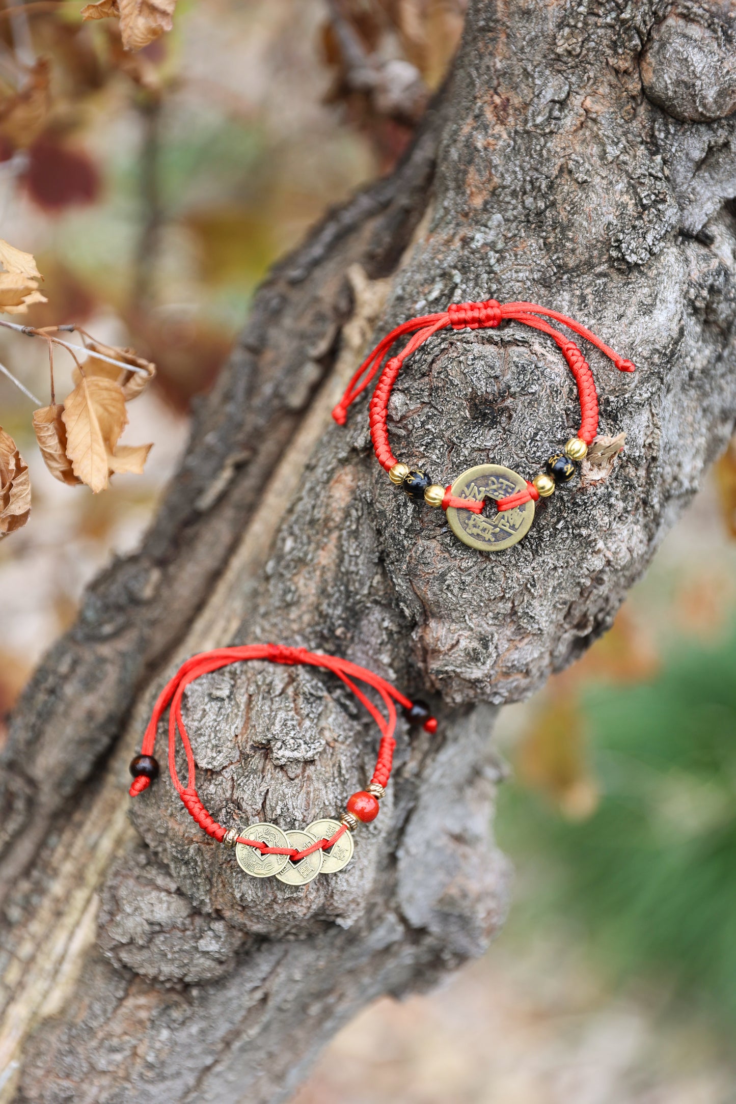 Adjustable Chinese Feng Shui Bracelet