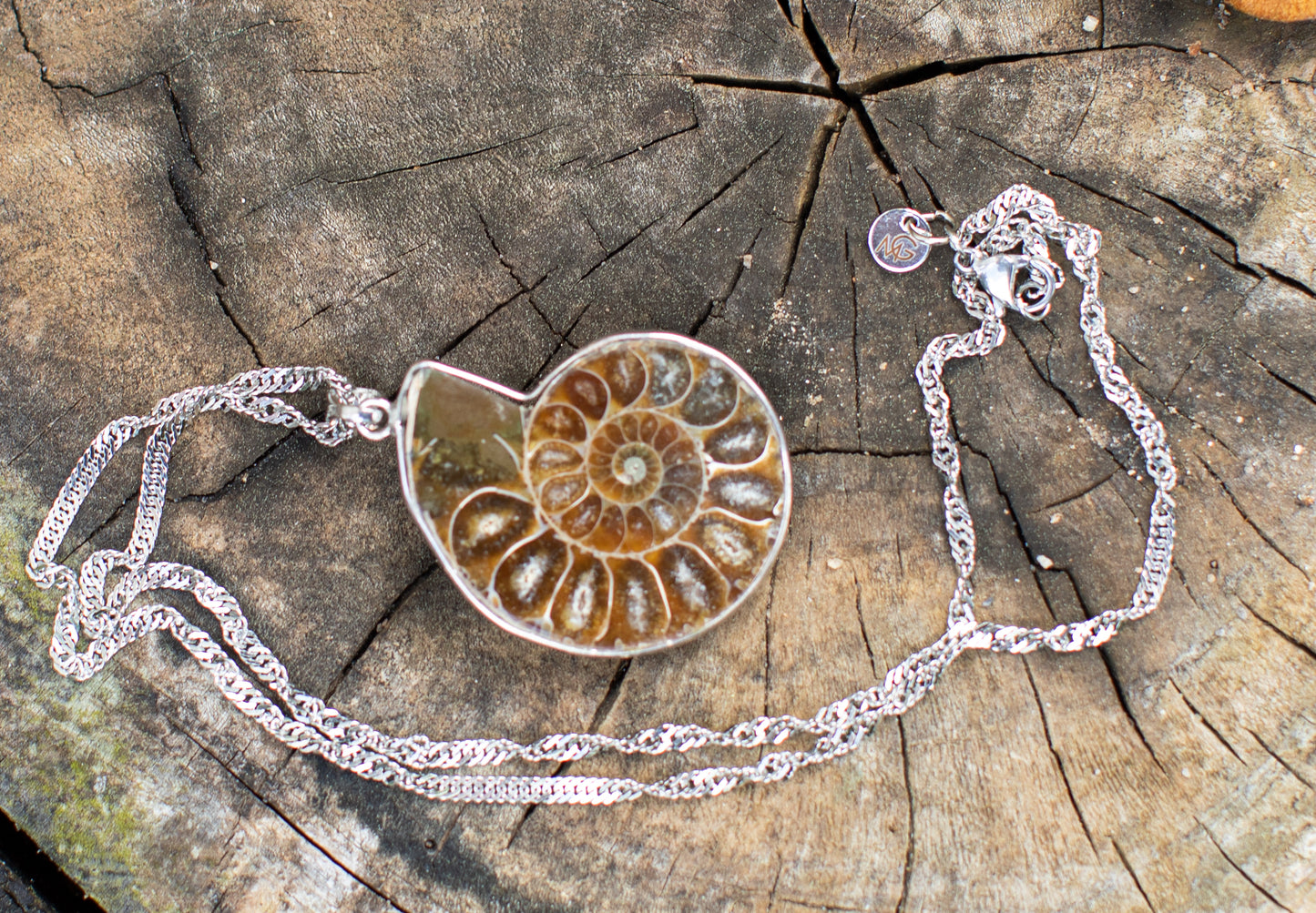 قلادة من الصدف الخام مع سلسلة معدنية فضية