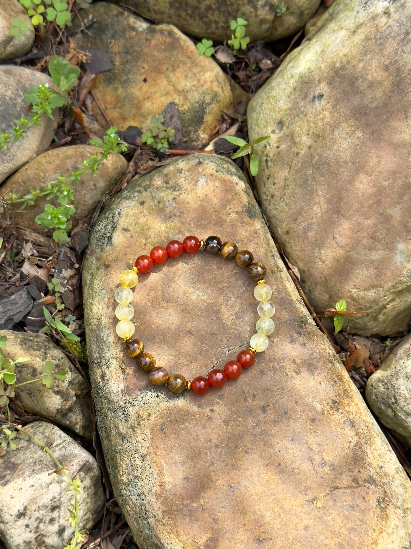 Tiger Eye - Citrine - Red Agate Bracelet of Wealth
