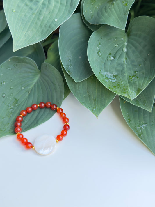 Carnelian Agate - River Shell Bracelet with Hematite Spacers